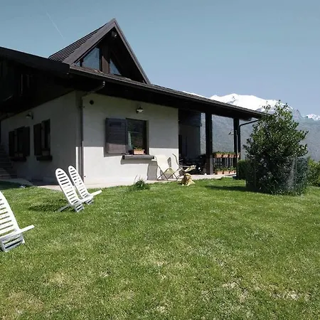 Scotty & Co. 3* 수사