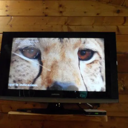 B&B Scotty & Co. 수사