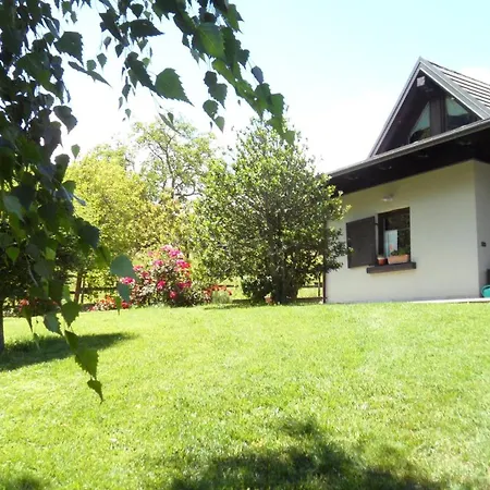 Scotty & Co. B&B 수사