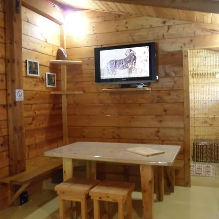 Scotty & Co. 3* 수사