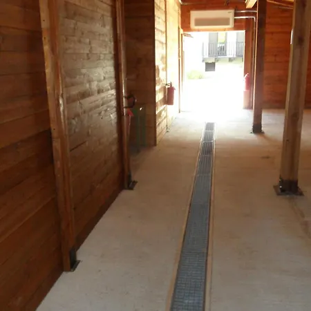 Scotty & Co. B&B 수사