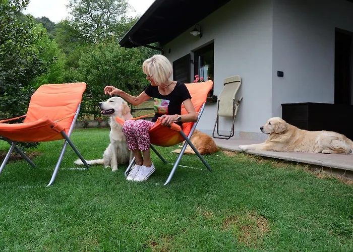 Frühstückspension Scotty & Co.